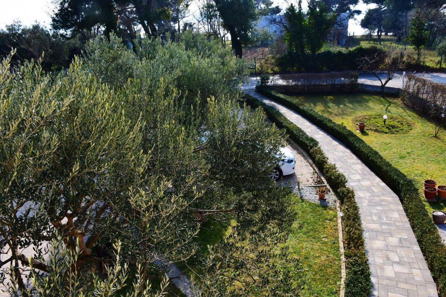 Apartments Darko - 30 M From Beach Sukošan Εξωτερικό φωτογραφία